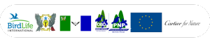 Logo do Rodapé