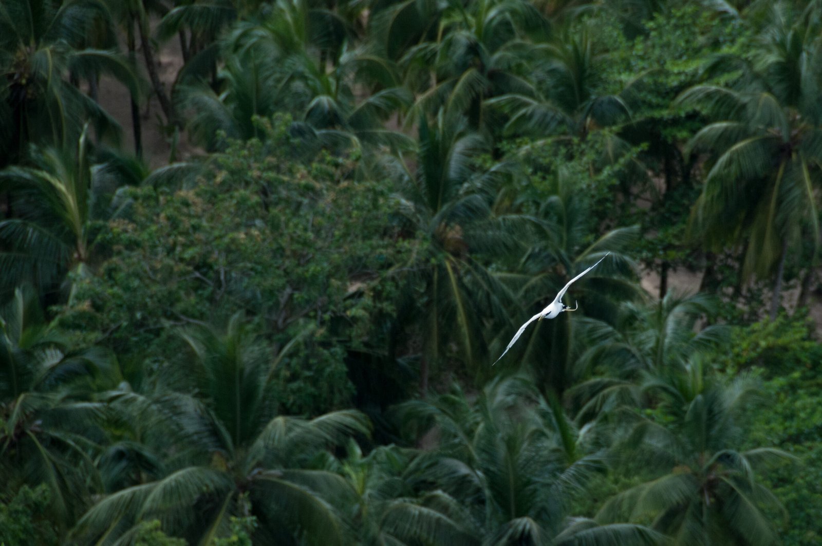 Bilhetes São Tomé